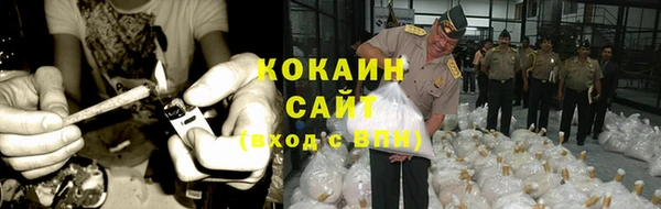 шишки Аркадак