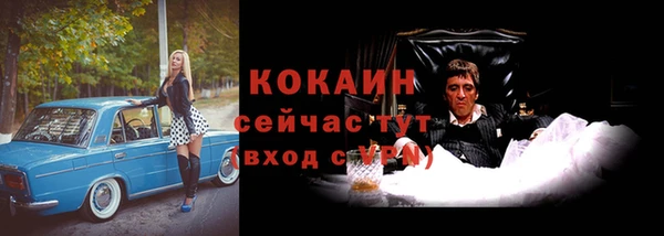 шишки Аркадак