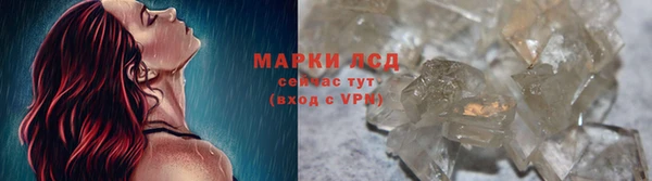 шишки Аркадак