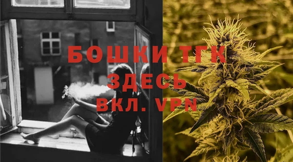 шишки Аркадак